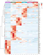 Comparative proteomic analysis of the composition of dECM and dECM-based inks compared to native tissues