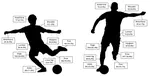 Injury Patterns in an Elite Men’s Futsal Club: A Nine-Season Cohort Study